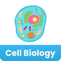 Cell Biology Quick Notes